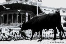 Auf dem DURBAR SQUARE in KATHMANDU (Nepal)